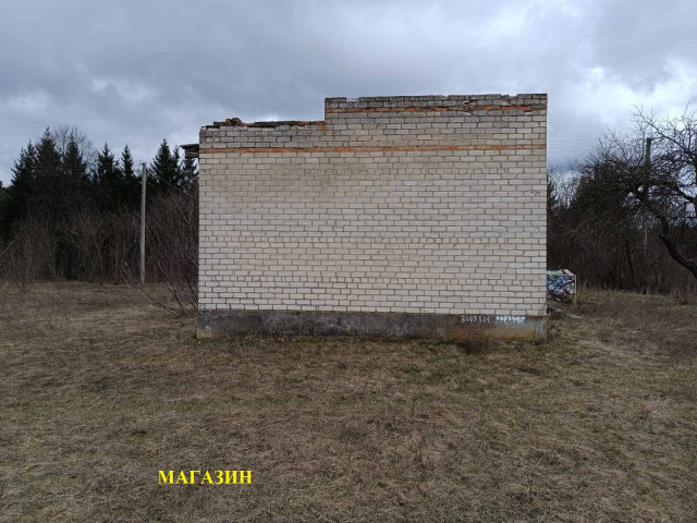 Не працював понад 20 років - у селі на Волині виставили на продаж державний магазин