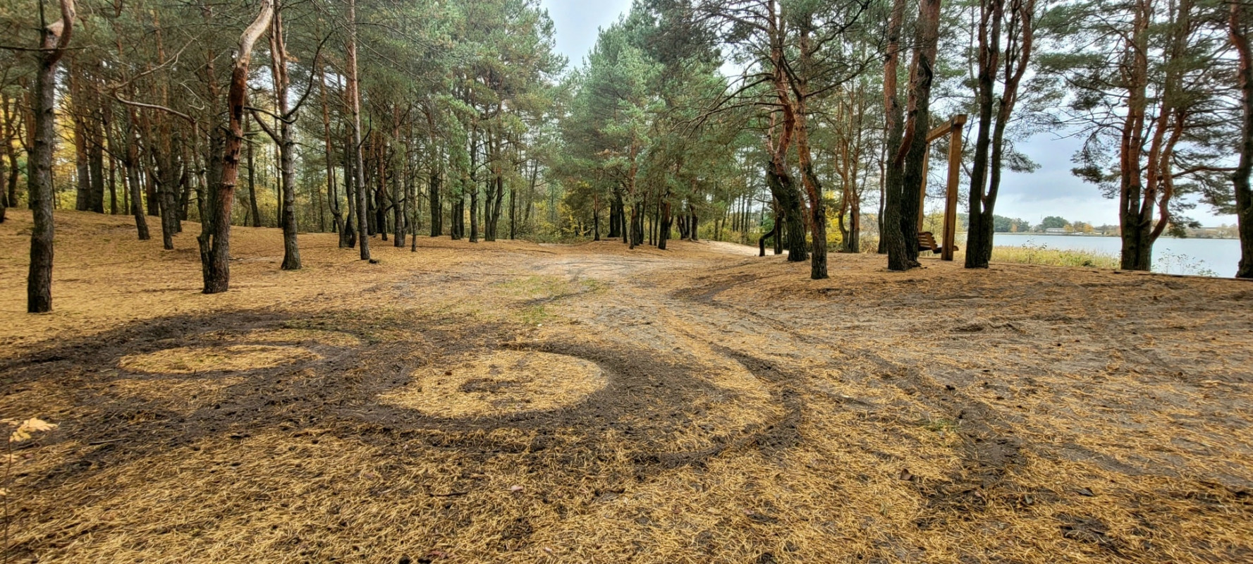 Невідомі понищили екостежку на території волинського нацпарку