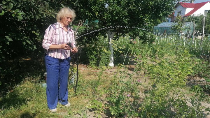 «Город - мої ліки»: 79-річна волинянка вирощує триметрові помідори й не полишає працювати попри хвороби