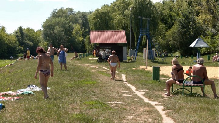 Стир заріс водоростями: жителі Луцька б'ють на сполох через «зелену» воду