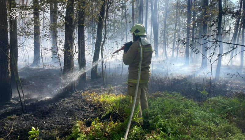 Вогонь охопив близько 5 гектарів: на Волині ліквідовували масштабну лісову пожежу