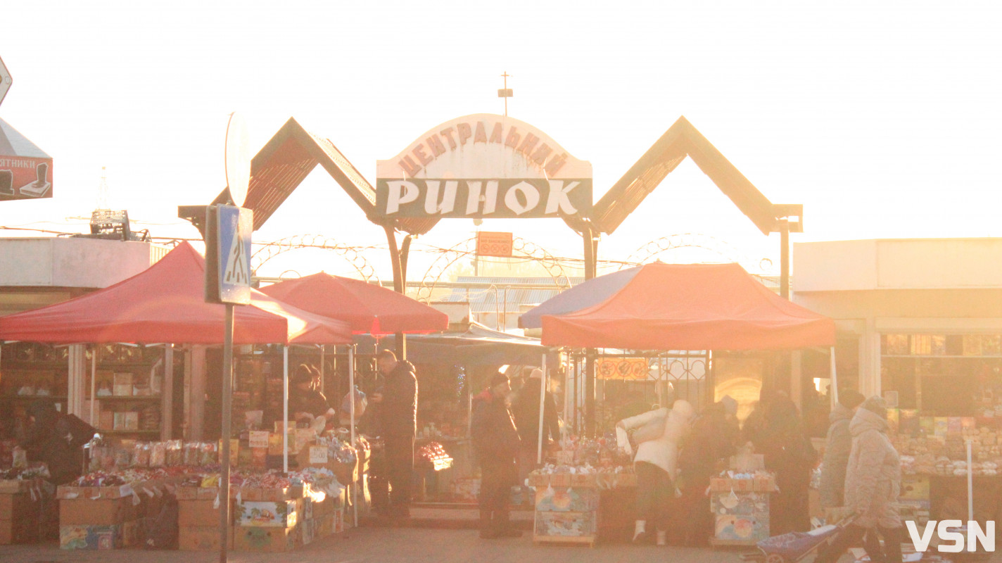 Скільки коштують живі ялинки та сосни на ринку у Луцьку?