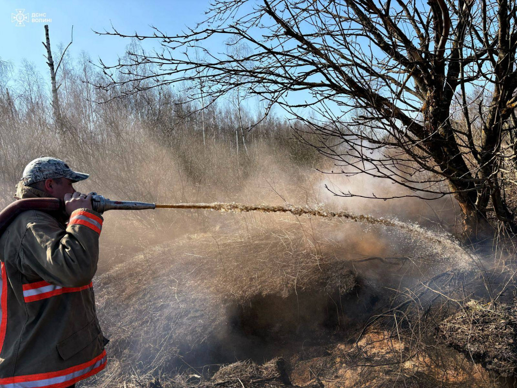 Виявили з повітря та загасили: на Волині рятувальники приборкали пожежу на торфовищі