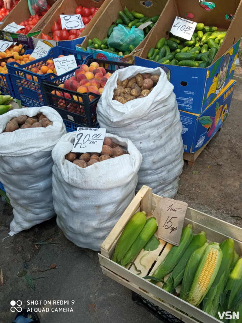 На луцьких ринках стрімко дешевшає городина: яка ціна на молоду кукурудзу, картоплю, огірки та кабачки