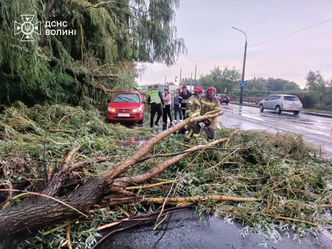 Повалені дерева й заблоковані дороги: як Луцьк оговтувався після негоди