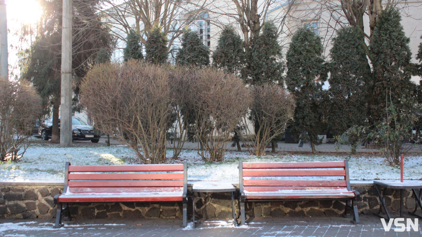 Засніжений Луцьк: як виглядають парки та двори міста взимку напередодні Нового 2026 року. Фоторепортаж