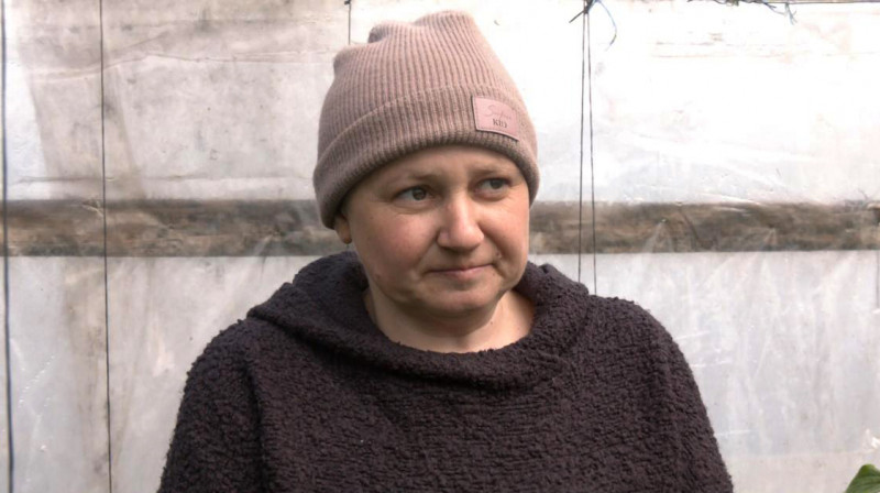 У селі на Волині родина вирощує огірки вже понад два десятиліття