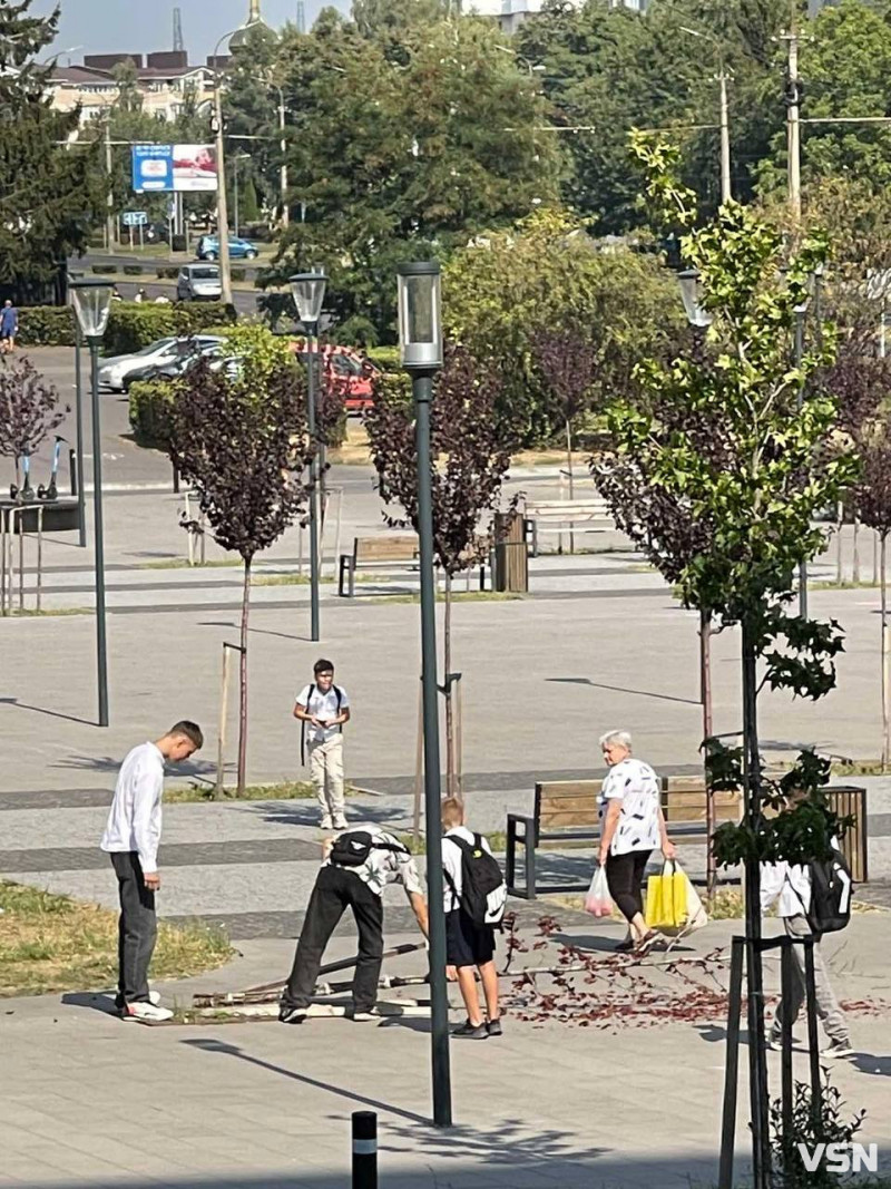 Діти виламали дерево на площі у Луцьку, ремонт якої обійшовся у понад 20 мільйонів