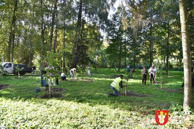 У Луцьку в парку Лесі Українки висадили дубовий гай Незалежності