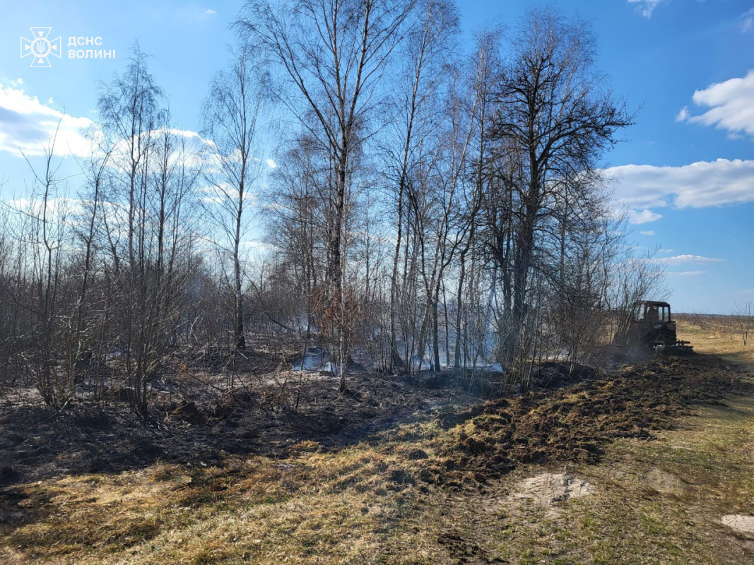 На Волині за добу загасили понад 14 гектарів вогню в екосистемах