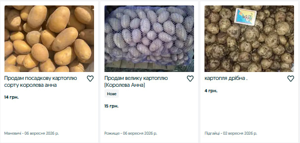 Скільки коштує картопля на Волині у вересні: ціни у продавців та заготівельників