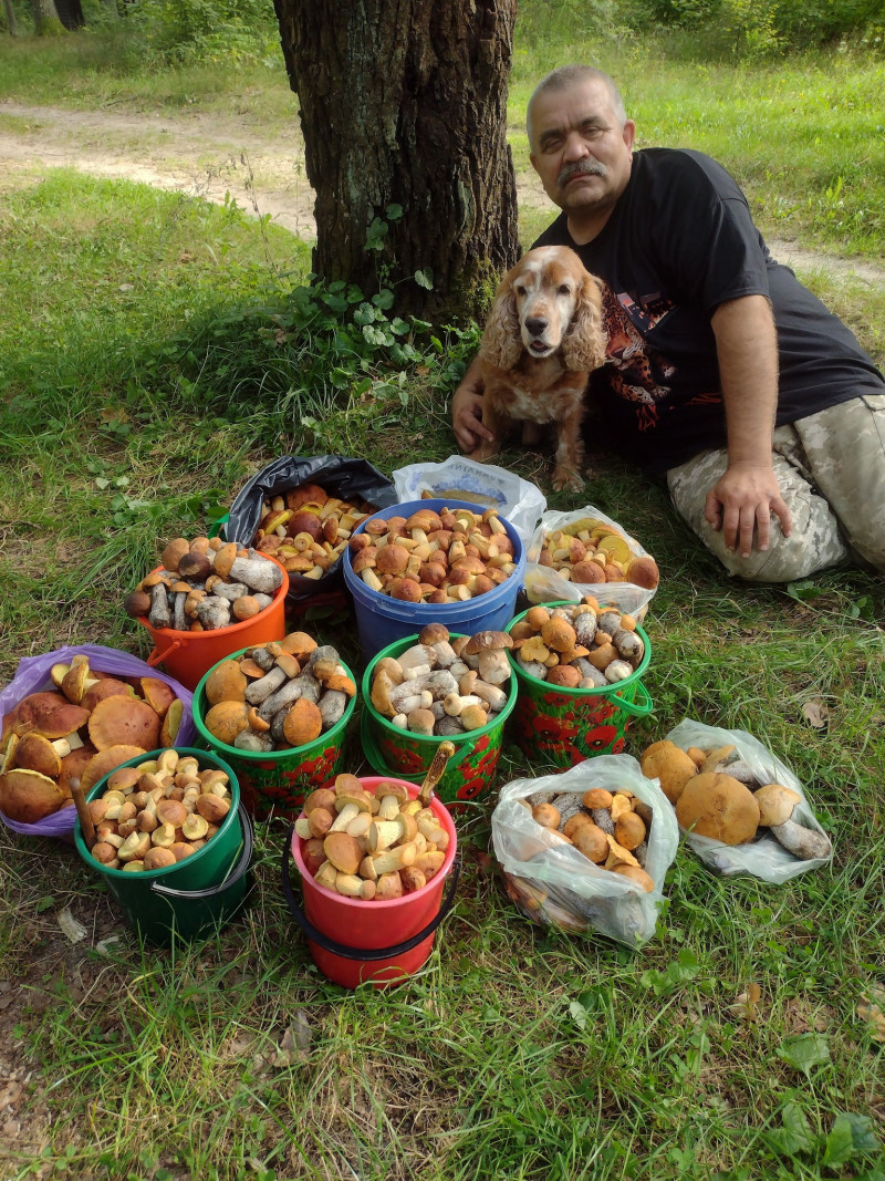 Десять відер і повний багажник: де волиняни збирають рекордний врожай грибів