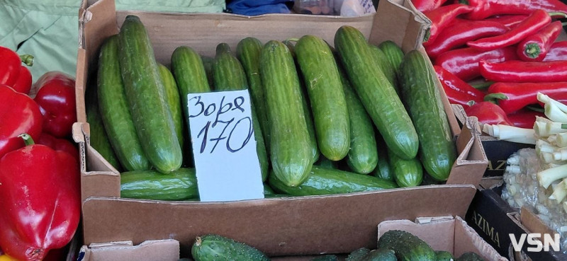 Свіжі огірки, томати та перші кабачки: скільки коштують ранні овочі на ринку в Луцьку
