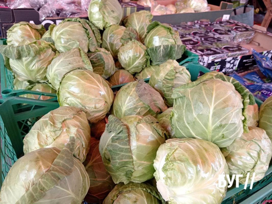 Весна вже на ринку: на Волині продають першу полуницю та розсаду — які ціни