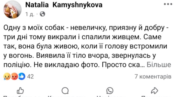 Собаку викрали та спалили живцем: подробиці трагедії у Нововолинську