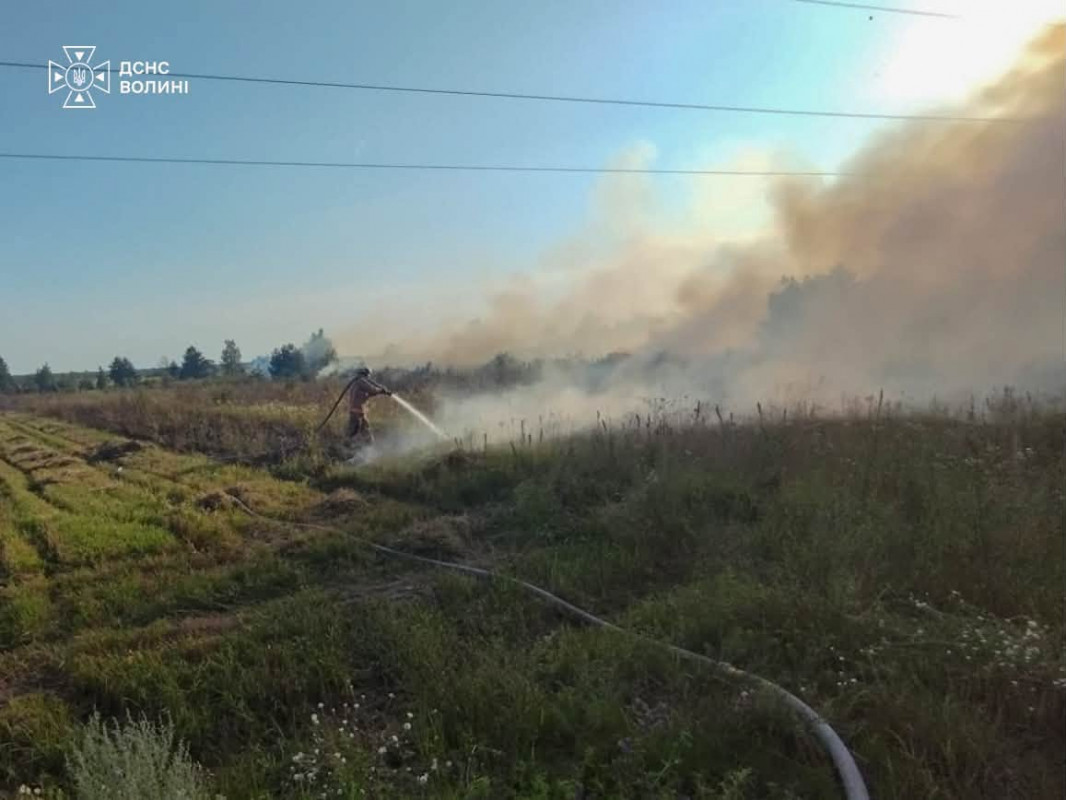 За добу на Волині спалахнули чотири пожежі: вогонь охопив майже 4 гектари