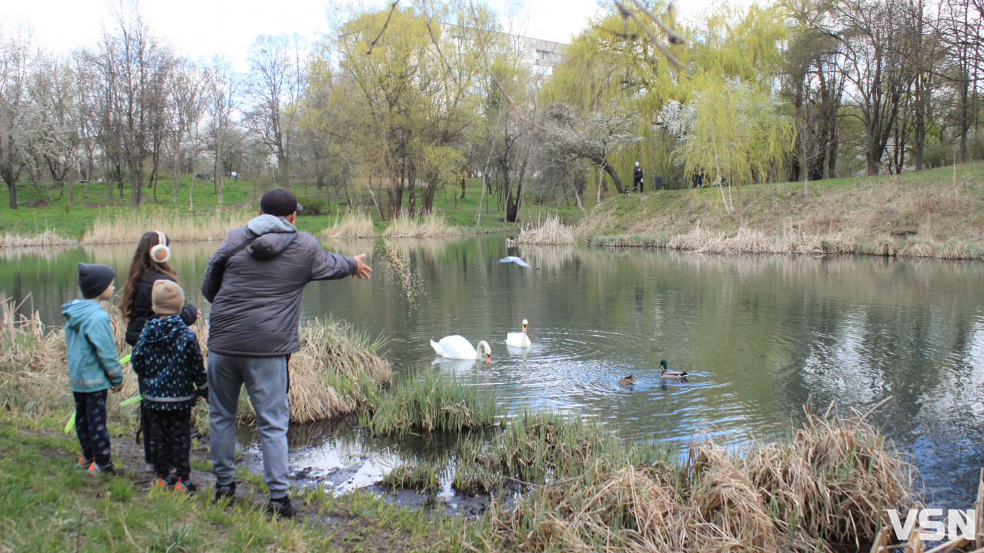 Як виглядає парк 900-річчя у Луцьку навесні 2026. Фоторепортаж