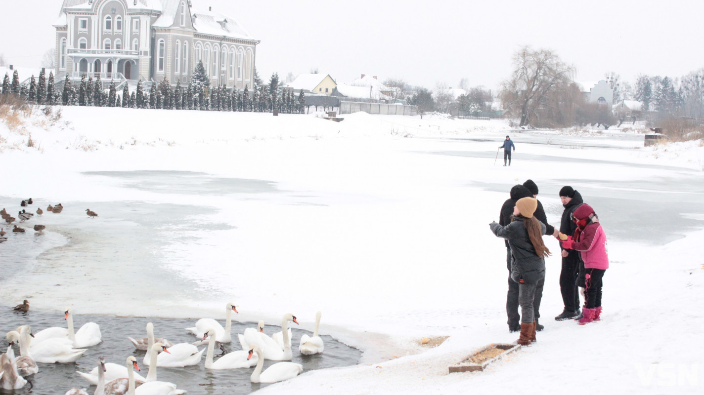 Ковель після снігопадів: фоторепортаж із засніженого міста