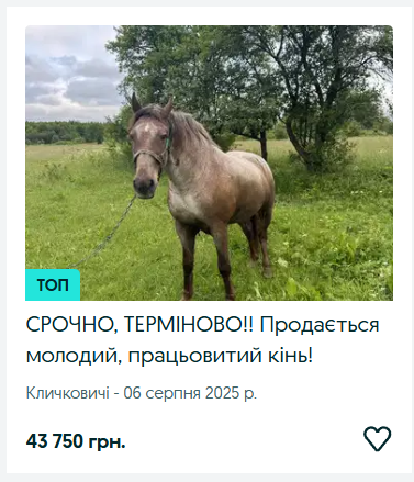 Ринок сільгосптварин на Волині: скільки коштують корови, телички, коні та кролі