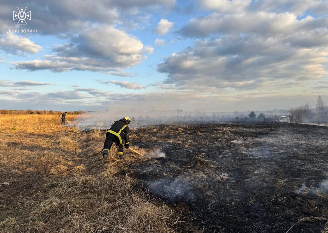 На Волині через людську недбалість згоріли хлів і понад 7 гектарів сухої трави