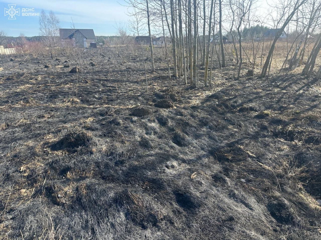 На Волині горіли будинки і суха трава: одного палія-порушника вже встановили