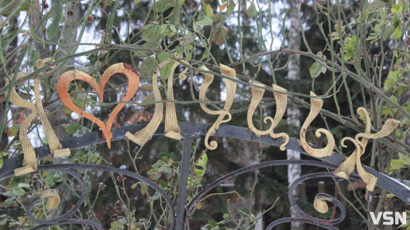 Як виглядає центральний парк у Луцьку у перші дні 2026 року. Фоторепортаж