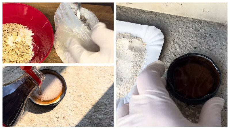 Як позбутися гризунів у будинку за допомогою «Кока-Коли»