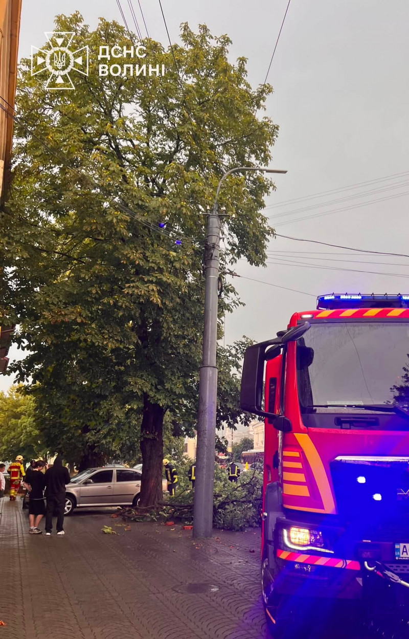 Повалені дерева й заблоковані дороги: як Луцьк оговтувався після негоди