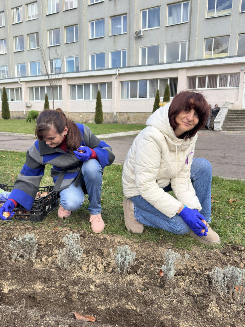 Тисяча тюльпанів для найменших сердець: у Луцьку створили квітник надії для передчасно народжених дітей