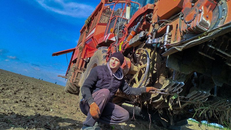Урожай цукрових буряків на Волині зріс: аграрії збирають до 650 центнерів з гектара