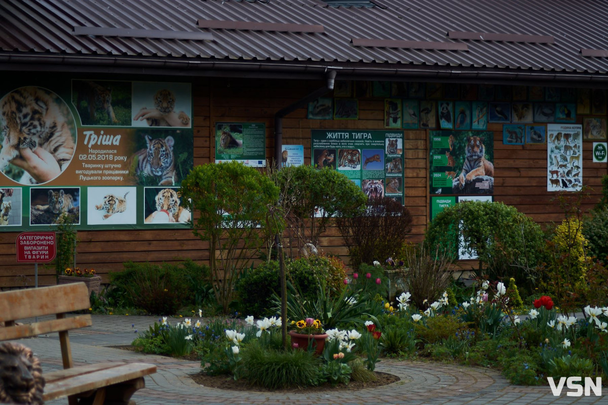 «Ми зайняли своє місце серед європейських зоопарків», - інтерв'ю з Людмилою Денисенко