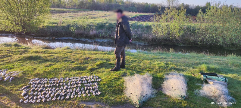 Майже пів мільйона гривень збитків: на Волині попалися браконьєри із сотнями риб і забороненими сітками