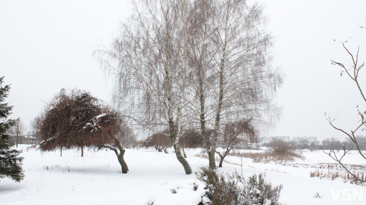 Ковель після снігопадів: фоторепортаж із засніженого міста