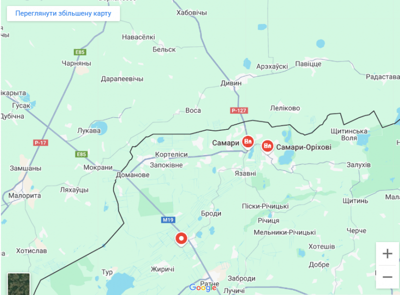 Грибний бум на Волині: де шукати білі, лисички та опеньки