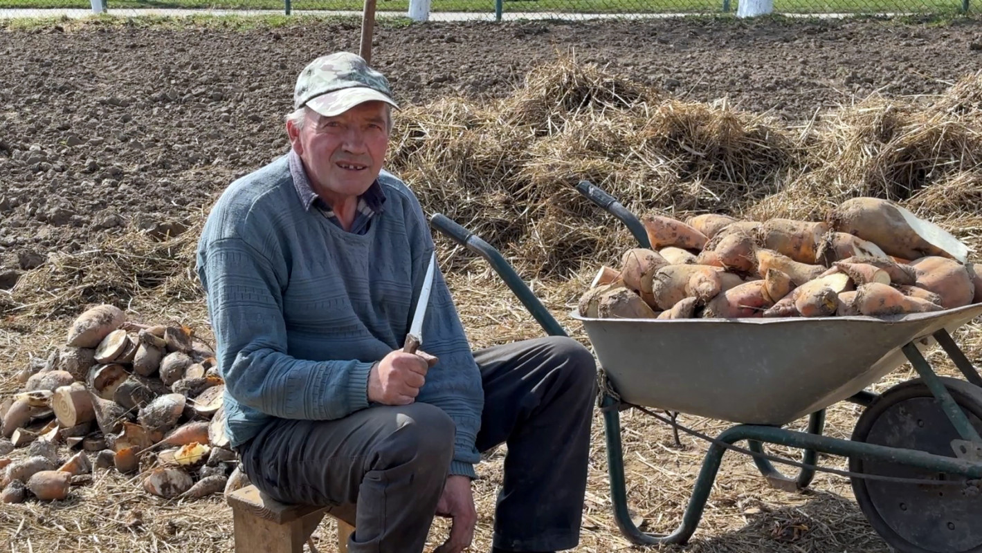 «Треба побавитися»: як у волинському селі вирощують городину і тримають господарство