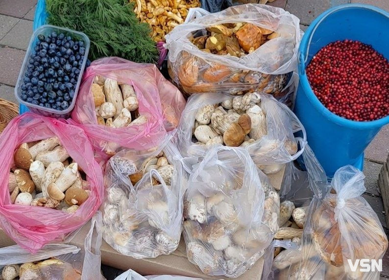 Скільки коштують гриби на ринку у Луцьку та які вже можна купити