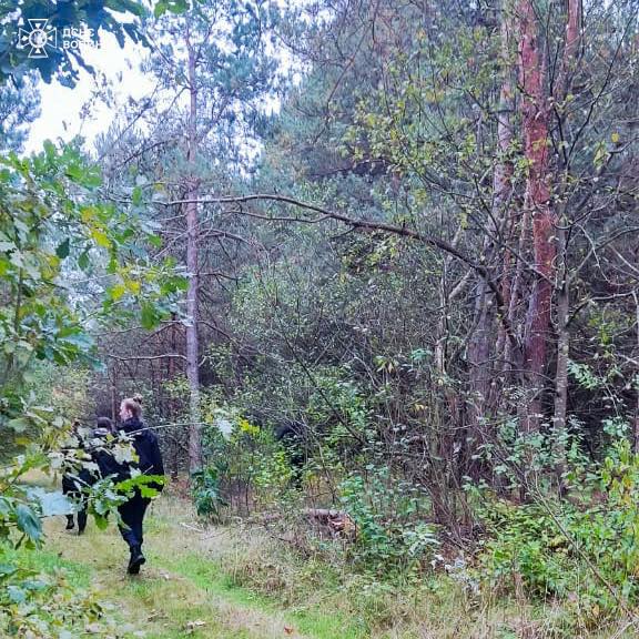 У лісі на Волині зник чоловік, його шукають вже другий день