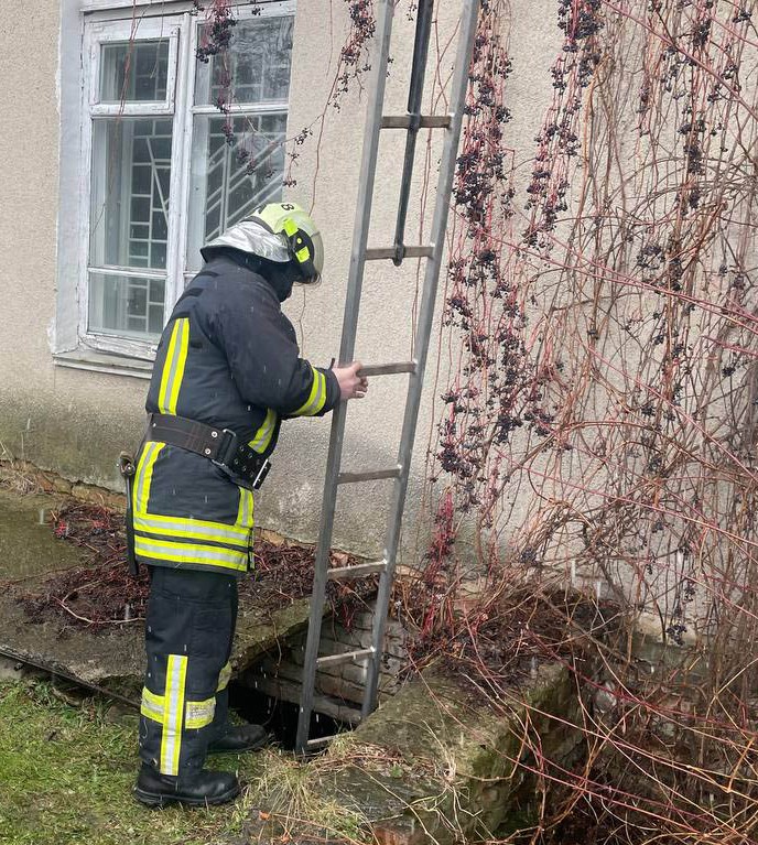 Волинські рятувальники визволили собаку, який впав у підвал