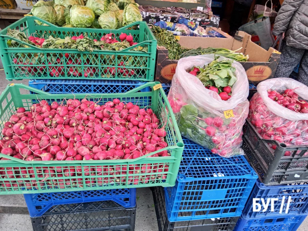 Весна вже на ринку: на Волині продають першу полуницю та розсаду — які ціни