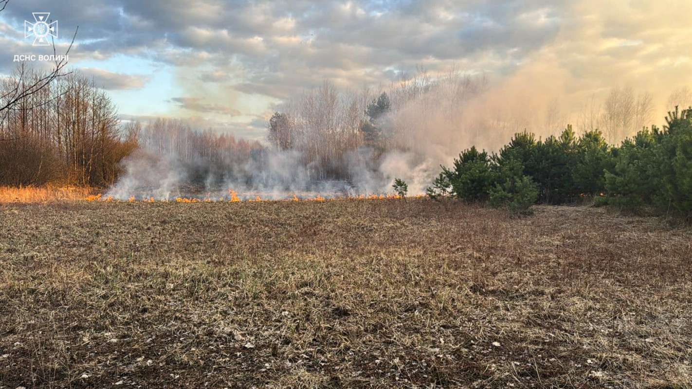 На Волині через людську недбалість згоріли хлів і понад 7 гектарів сухої трави