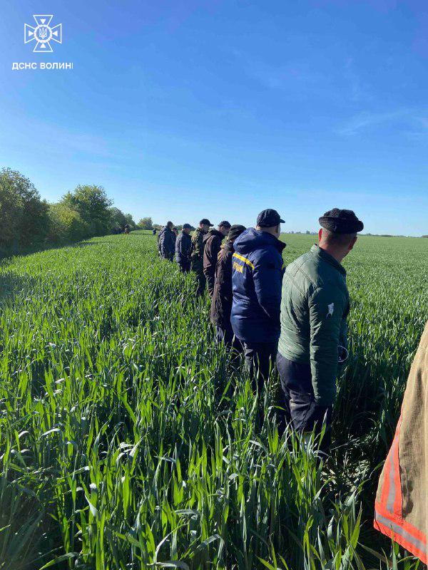 Шукали усю ніч: на Волині пропали двійнята