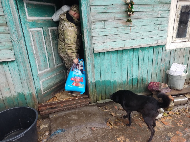 Волинянка придбала хатину для бездомних котів і собак