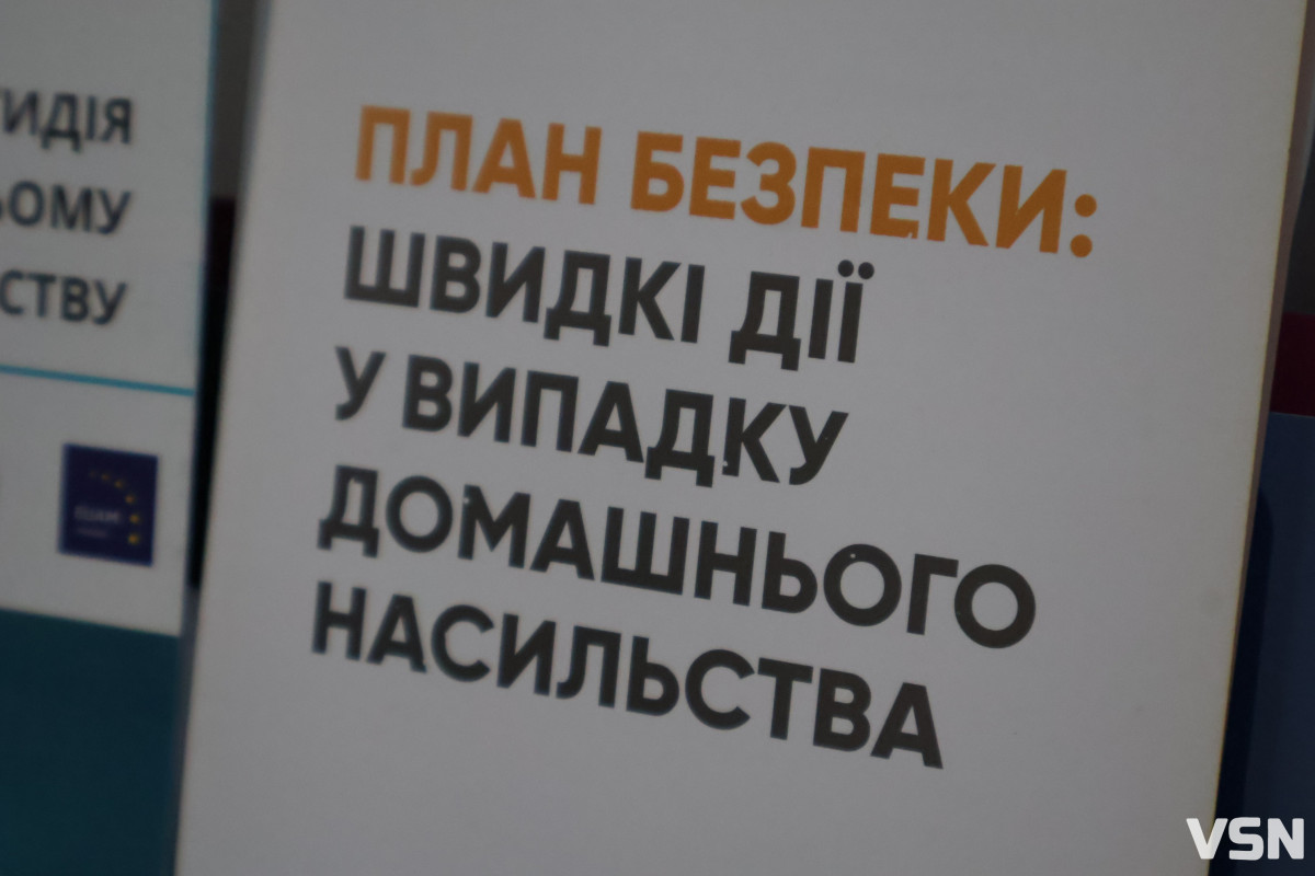Вберегти життя та покарати винних: як у Луцьку працюють із домашнім насильством
