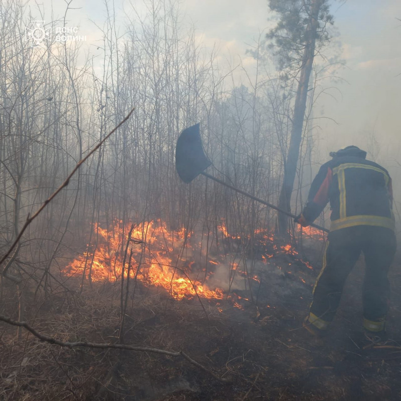 На Волині через людську недбалість вигоріло близько 8 га сухої трави та чагарників