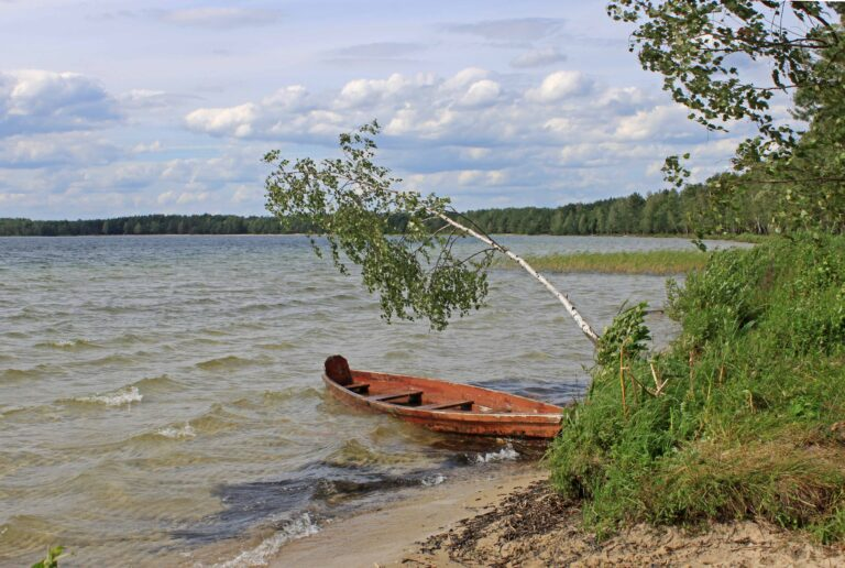 Не лише славнозвісний Світязь: відпочинок на одній з перлин Шацьких озер