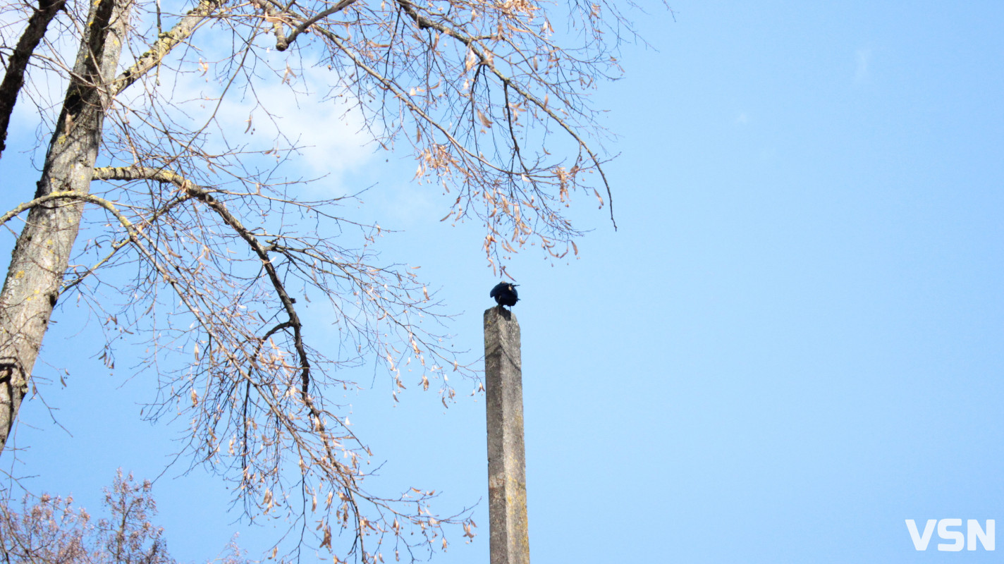 Весна у Луцьку: фоторепортаж із парку імені Лесі Українки