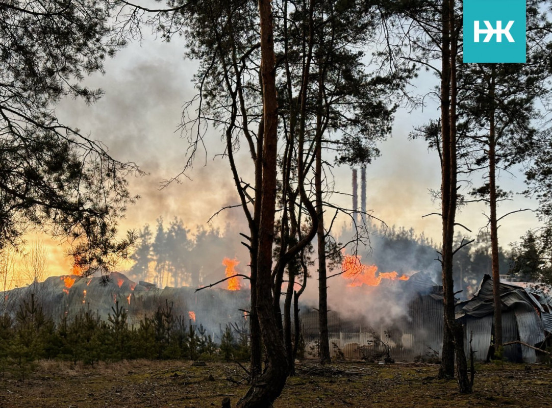 Трагедія на Волині: у масштабній пожежі на деревообробному підприємстві загинув підліток