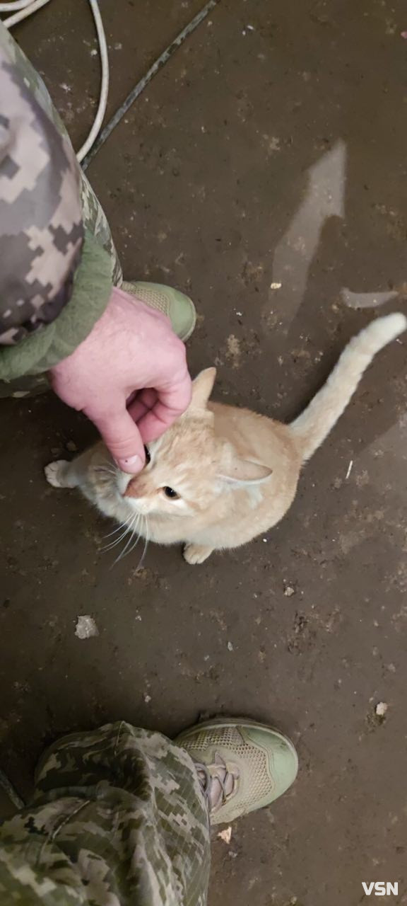«Відправляючись на завдання, син, мабуть, передчував, що назад уже не повернеться…»: спогади матері про Героя з Волині