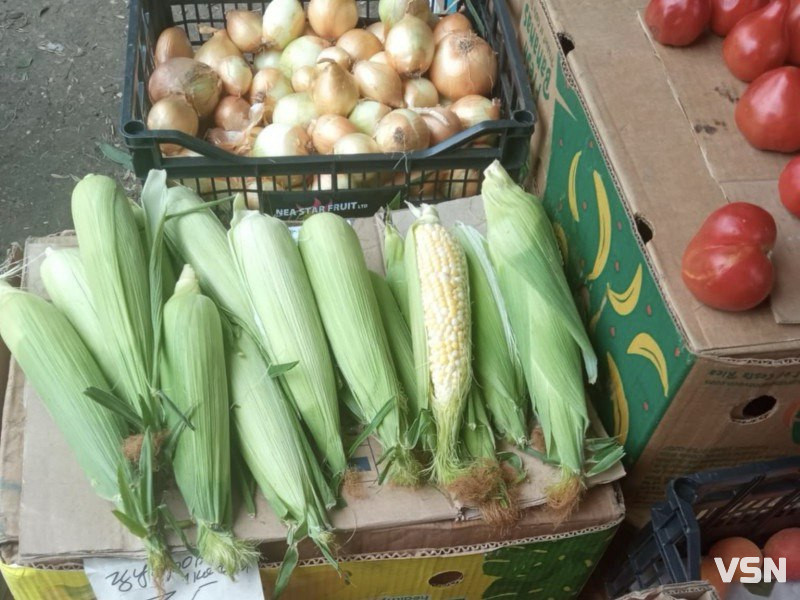 На ринку у Луцьку вже продають молоду кукурудзу: яка ціна