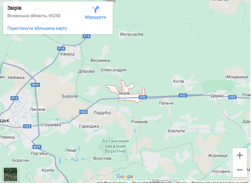 Грибний бум на Волині: де шукати білі, лисички та опеньки